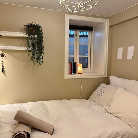 Apartment Behind Bryggen In
